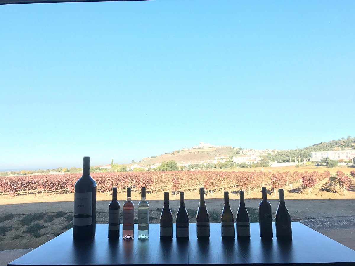 Tiago Cabaco Winery - All You Need to Know BEFORE You Go (with Photos)