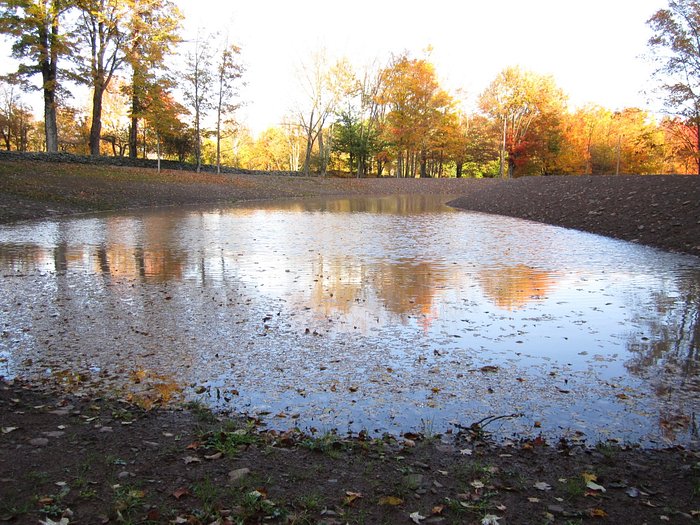 Is this a problem? Great Stuff Pond and Stone detached from the