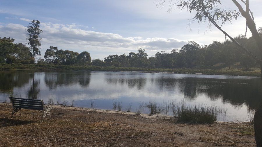 ELDEE CAMP SPOT - Campground Reviews (Carlton, Australia) - Tripadvisor