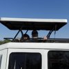 Serengetisangesafari