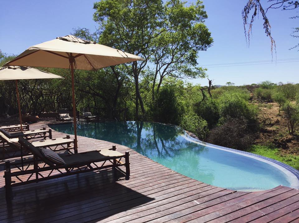 Makanyane Safari Lodge Pool Pictures & Reviews - Tripadvisor