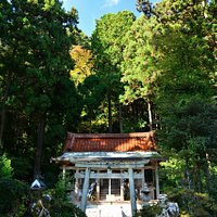 神さびた本殿