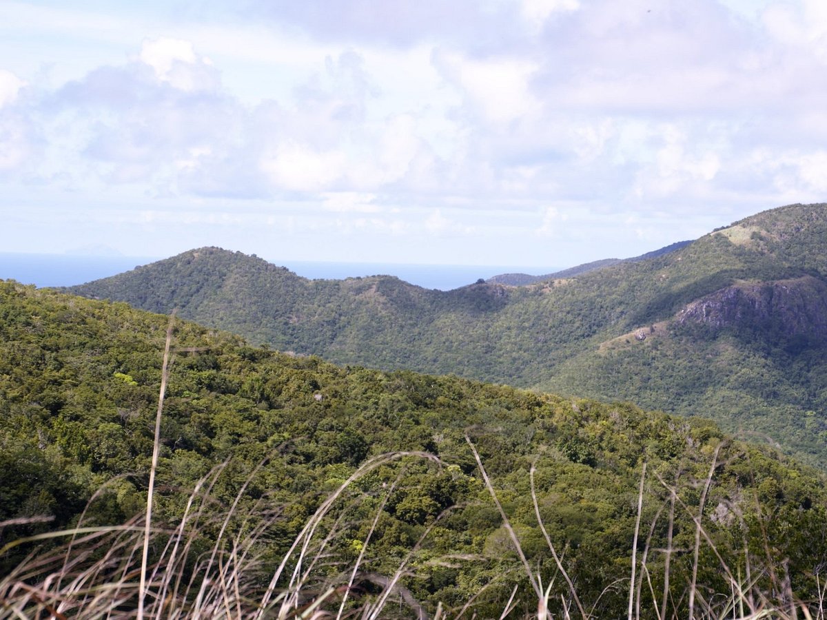 Footsteps Rainforest Hiking Tours St Johns All You Need To Know Before You Go