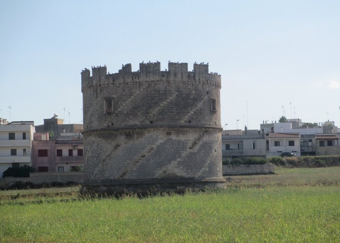 La torre con i suoi colombi