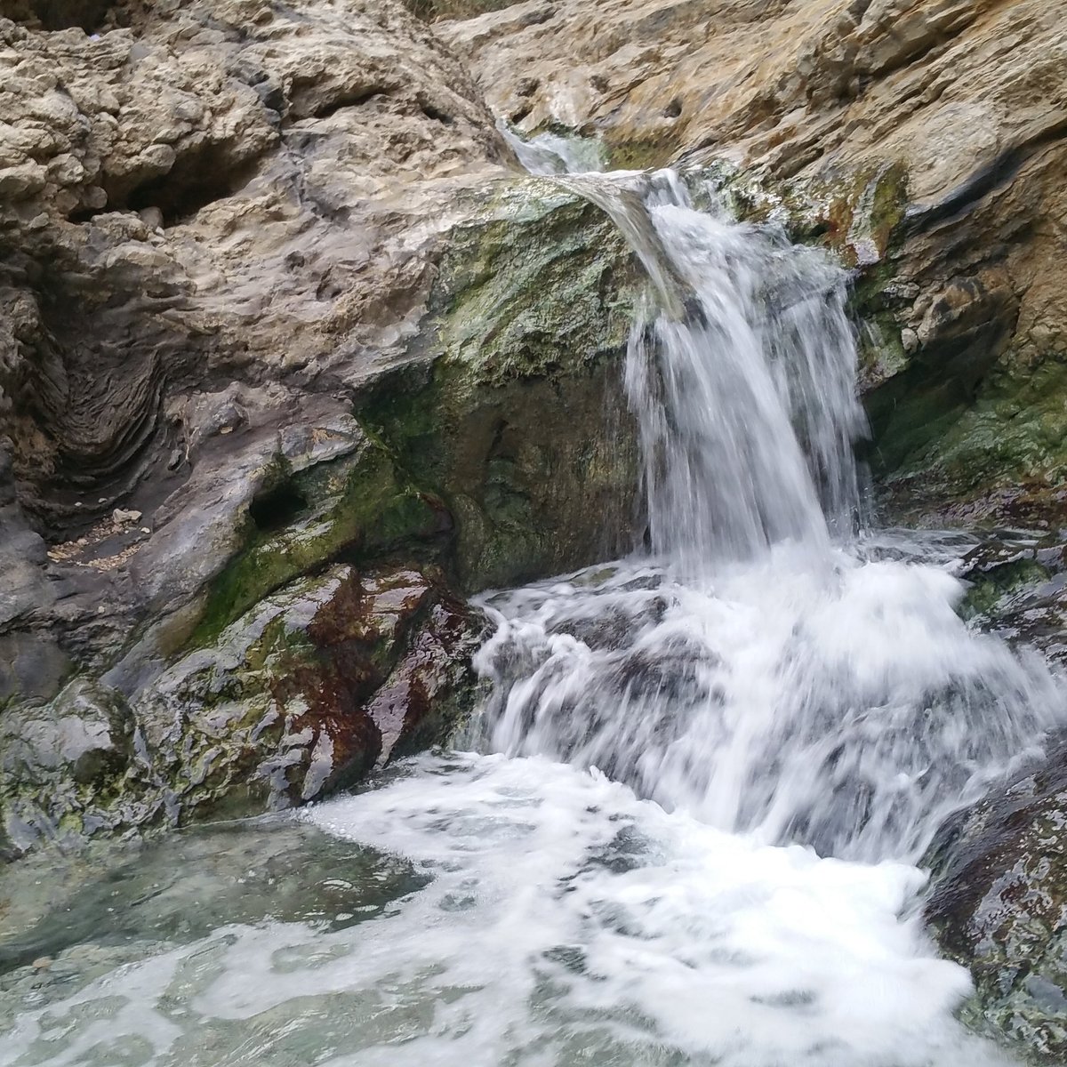 Bokek River, Эйн-Бокек: лучшие советы перед посещением - Tripadvisor