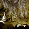 Things To Do in Carlsbad Caverns Natural Entrance Tour, Restaurants in Carlsbad Caverns Natural Entrance Tour