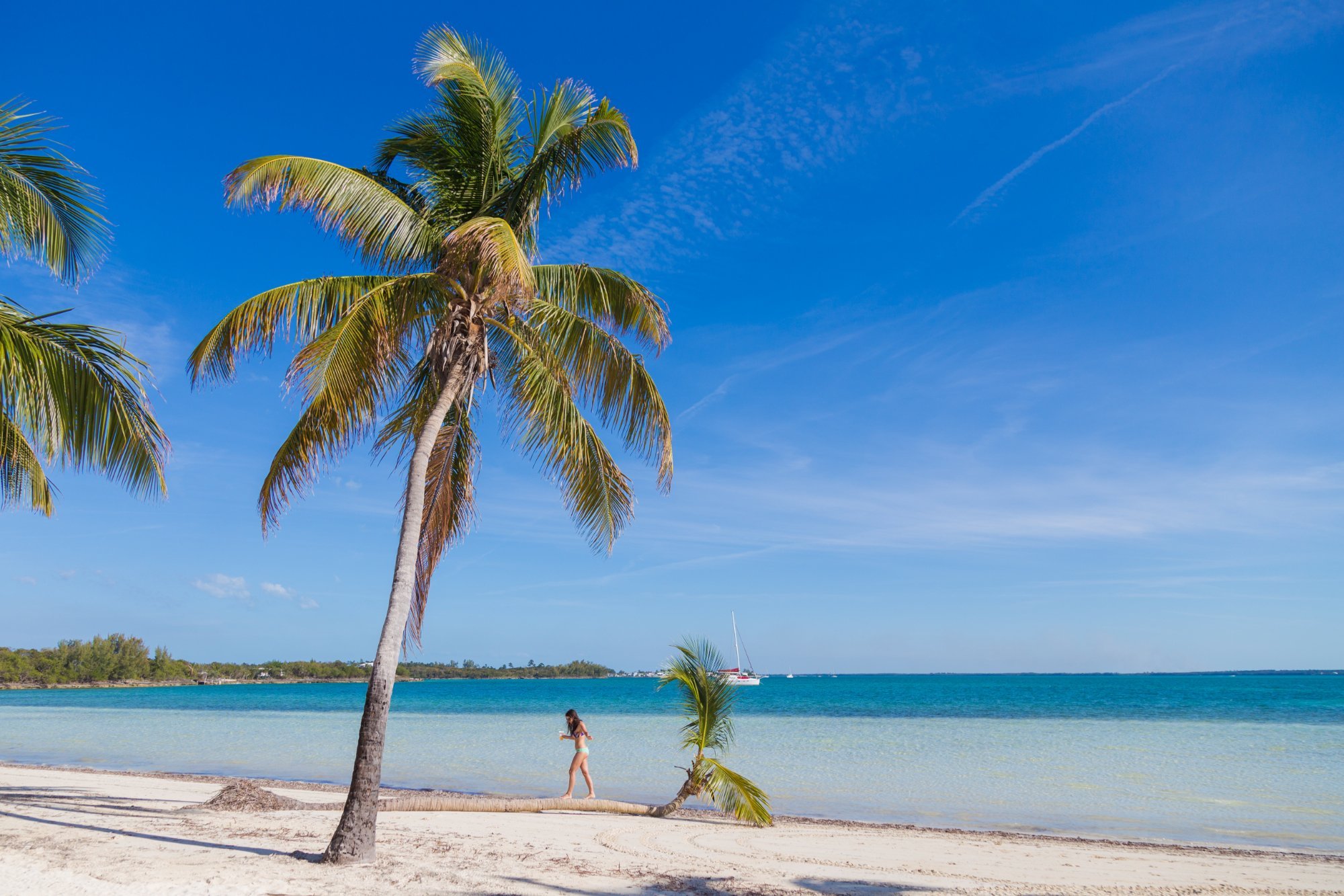 Green Turtle Club Resort & Marina by null