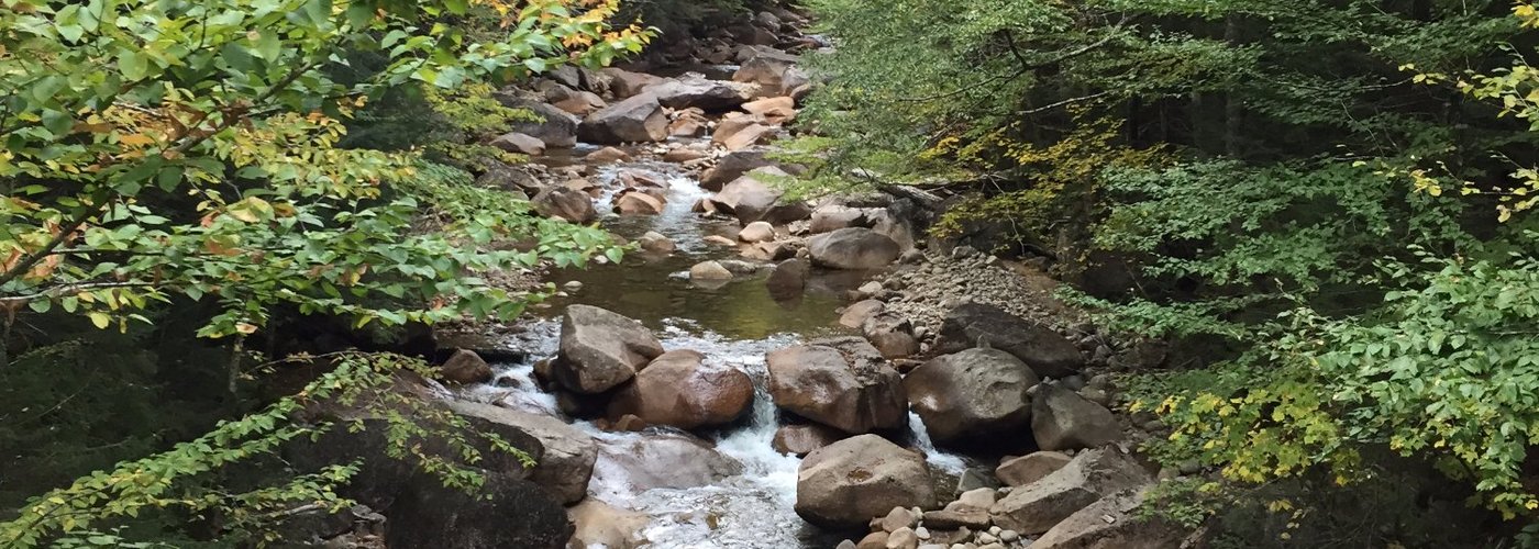 Enjoy the pictures, go to Ellis Falls in stead.