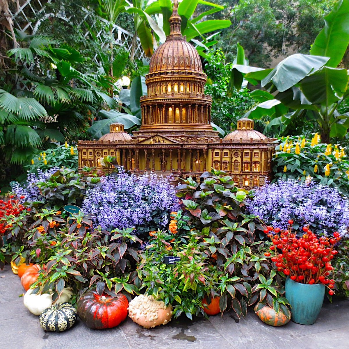 united-states-botanic-garden-washington-dc-all-you-need-to-know