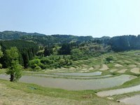 Oyama Rice Terraces Kamogawa Aktuelle 21 Lohnt Es Sich Mit Fotos Tripadvisor