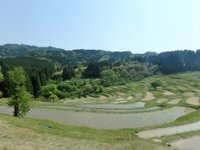 Oyama Rice Terraces Kamogawa 21 All You Need To Know Before You Go With Photos Tripadvisor