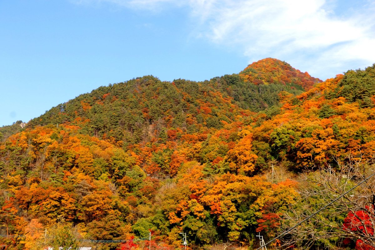 Shosen Valley (Kofu) - All You Need to Know BEFORE You Go