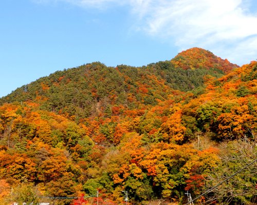 22年 甲府市で絶対外さないおすすめ観光スポットトップ10 定番から穴場まで トリップアドバイザー