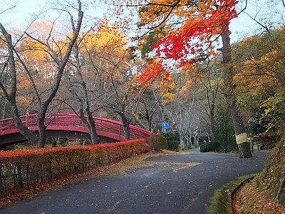 须贺川市旅游 须贺川市旅游指南