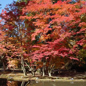 22年 つりぼり本舗 行く前に 見どころをチェック トリップアドバイザー