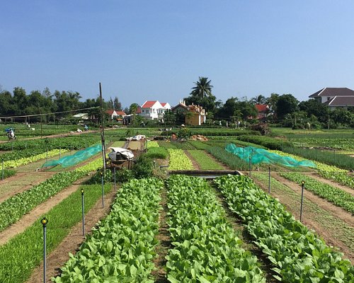 farm tour vietnam
