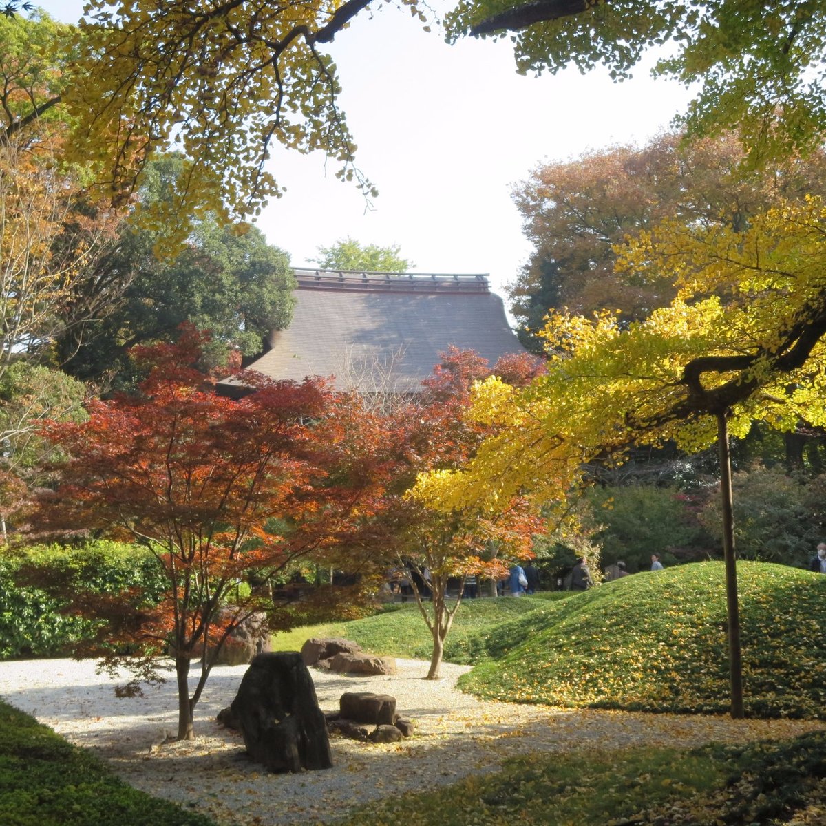 Kuhombutsu Joshin Ji Temple Setagaya Tripadvisor