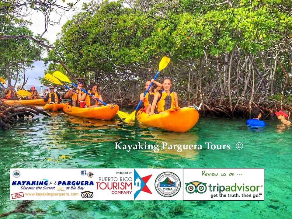 Kayaking Parguera - All You Need to Know BEFORE You Go (with Photos)