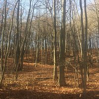 Had a great day with my daughter. Lots of great trails, peaceful and kept up.