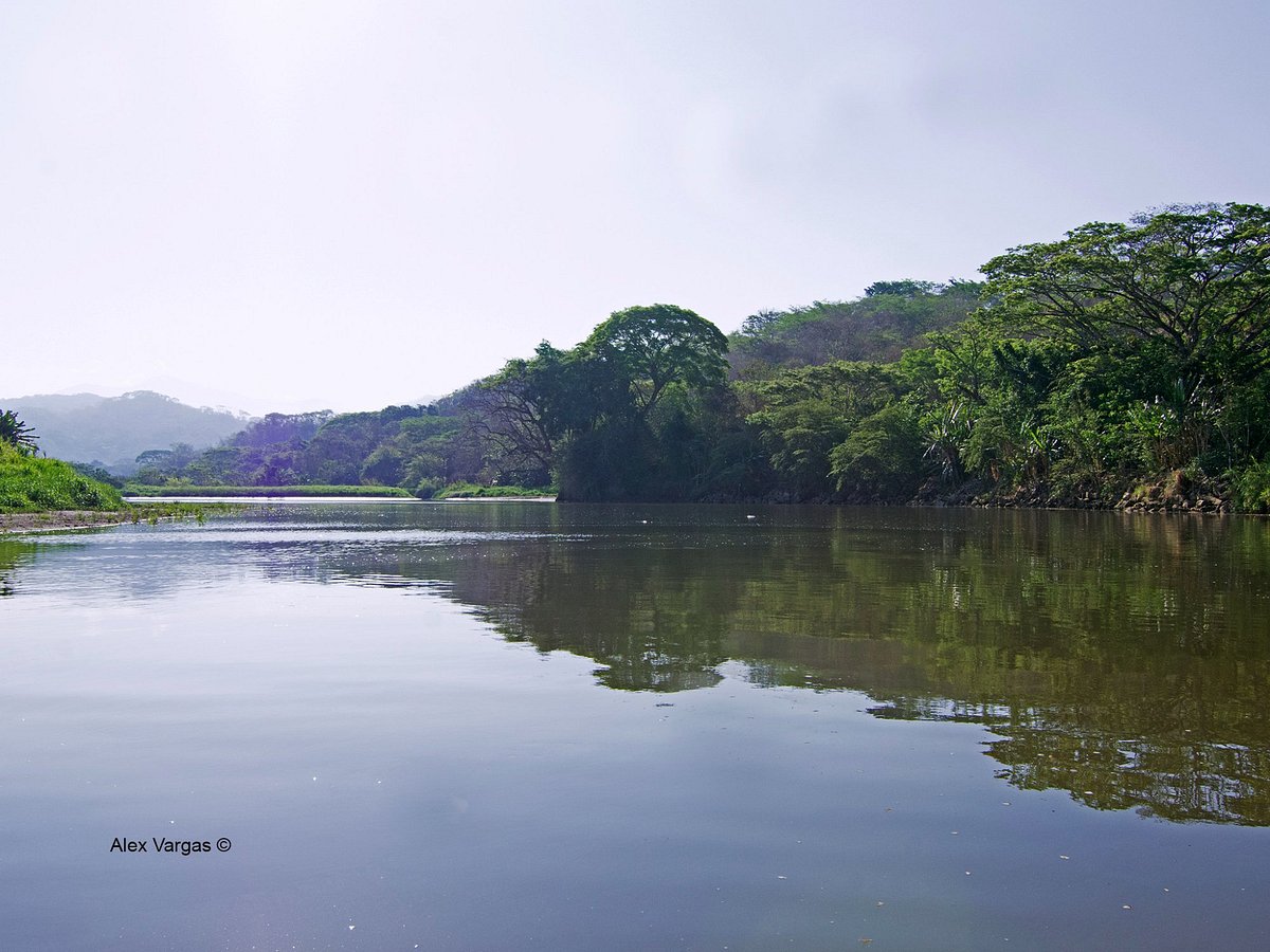 crocodile man tour jaco costa rica