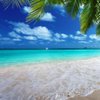 TravellerAZZW