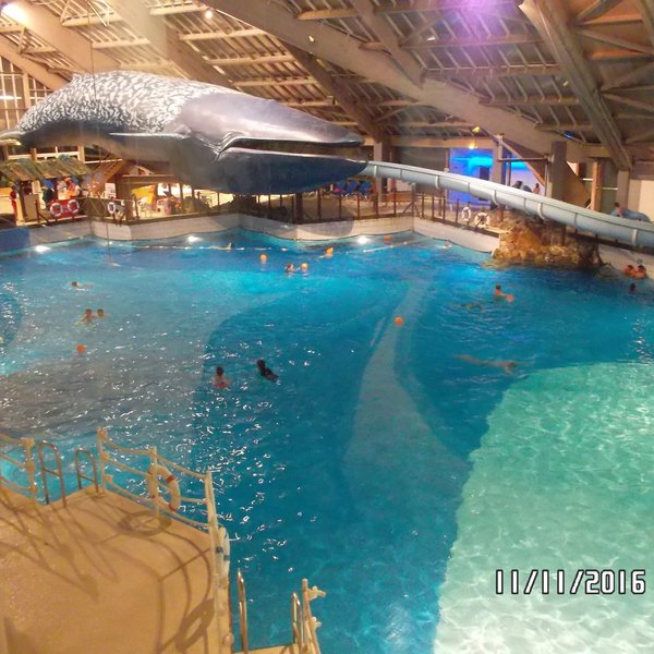 PISCINE ARMAND MASSARD (Parigi) Tutto quello che c