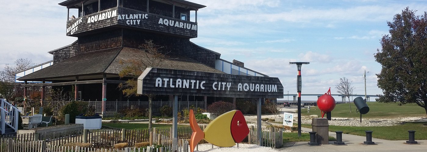 Atlantic City Aquarium Historic Gardner's Basin
