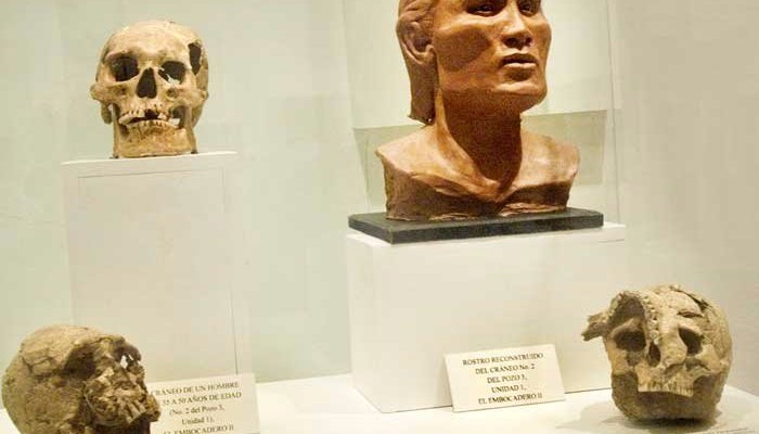Forensic reconstruction (right) of how the owner of the skull must have looked.