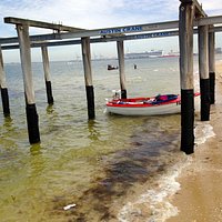 Boats from the Albert Park Fishing Club are hauled in here