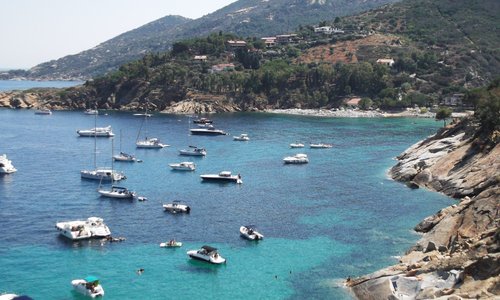 particolare,  Isola del Giglio