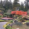 Things To Do in Kongorin-ji Temple Myojyuin Garden, Restaurants in Kongorin-ji Temple Myojyuin Garden