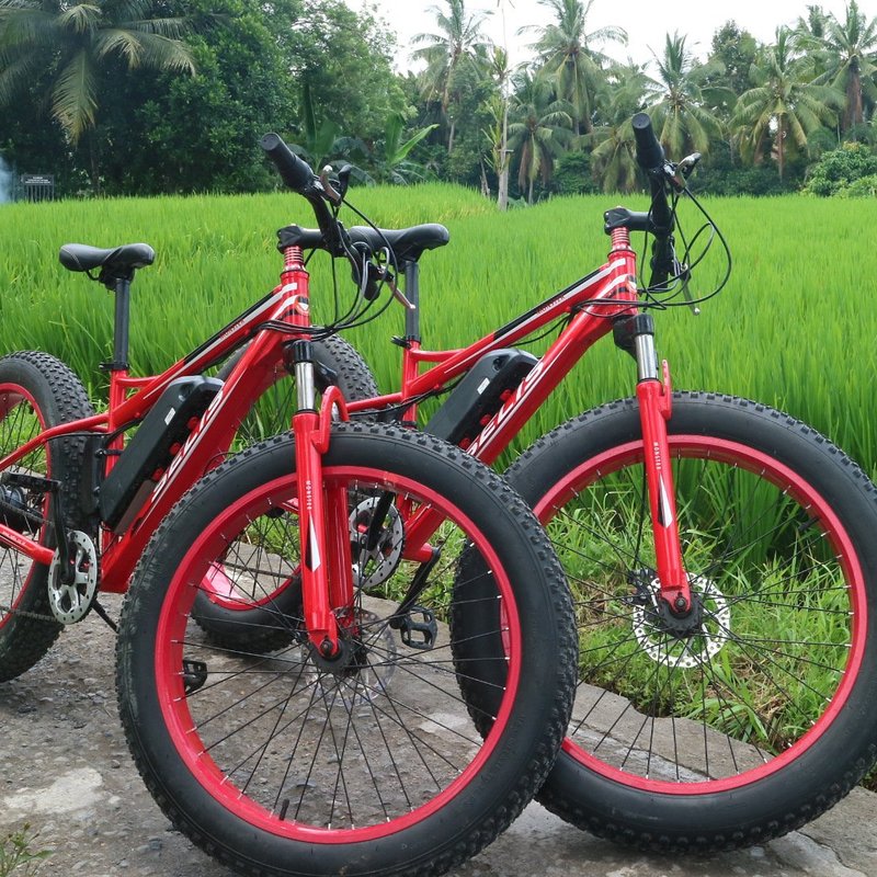 element bike bali