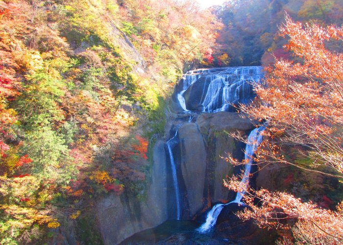 With fall colors