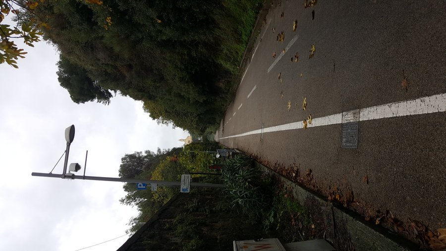 Ciclabile in giorno di pioggia