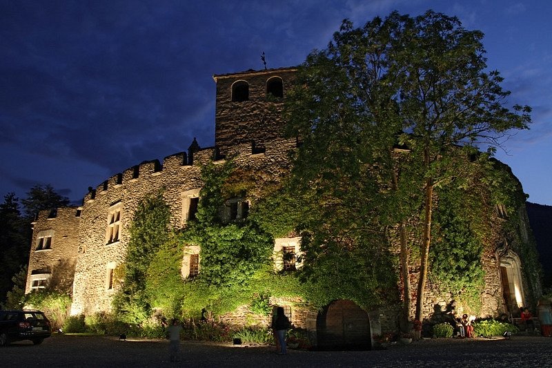 Castello di Introd image