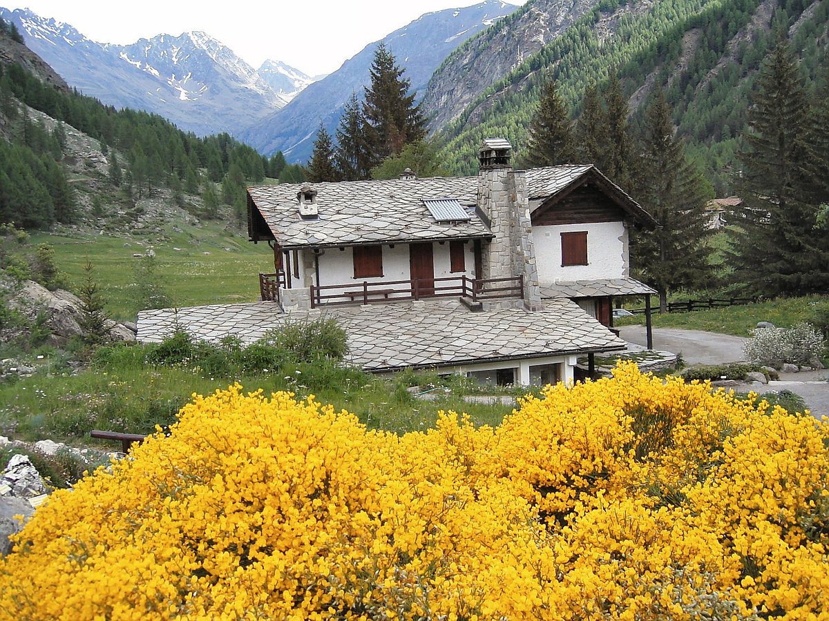 Flore-Alpe au fil de l'eau, journée portes ouvertes au Jardin alpin
