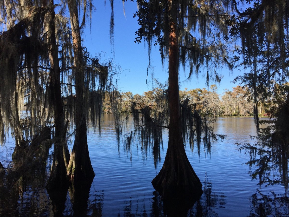 Escape to Louisiana's Hidden Gem: Fairview-Riverside State Park