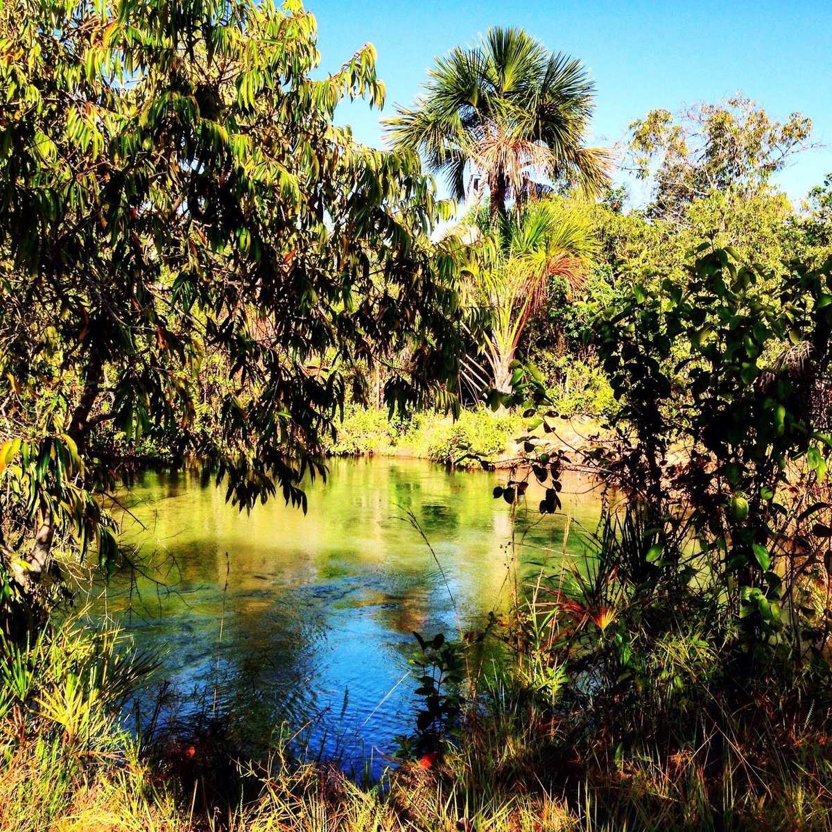 Caminhos da Tradução: Another Day In Paradise / Mais Um Dia No Paraíso 