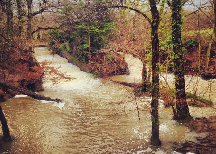Both waterfalls flowing and stream bursting its banks after heavy rainfall - beautiful walks!