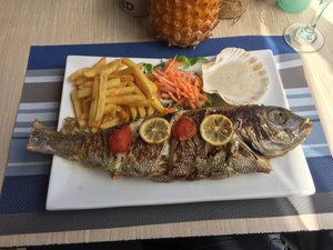 Cibo