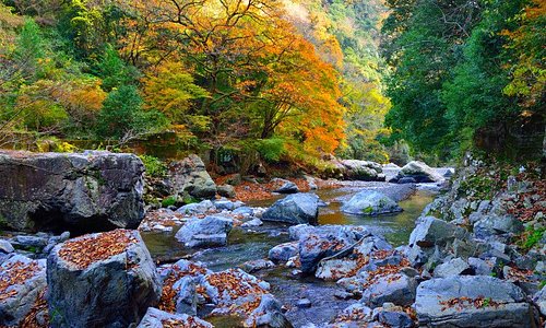 21 年日本高槻市的旅遊景點 旅遊指南 行程 Tripadvisor 21 年日本高槻市的旅遊景點 旅遊指南 行程 Tripadvisor