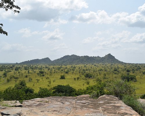 Kantine Stolthed Kan THE 10 BEST Ghana Nature & Wildlife Areas (with Photos) - Tripadvisor