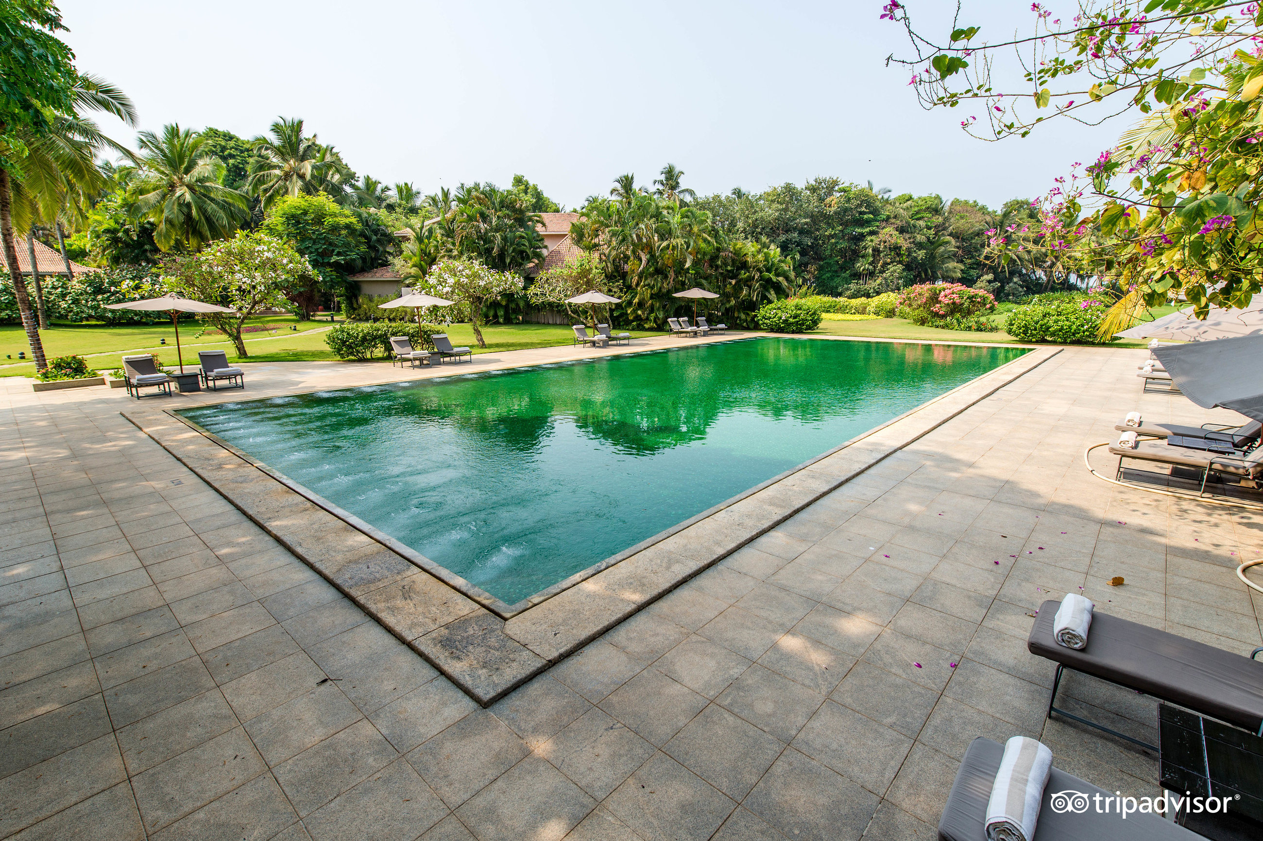 The St. Regis Goa Resort - Pool: Fotos Und Bewertungen - Tripadvisor