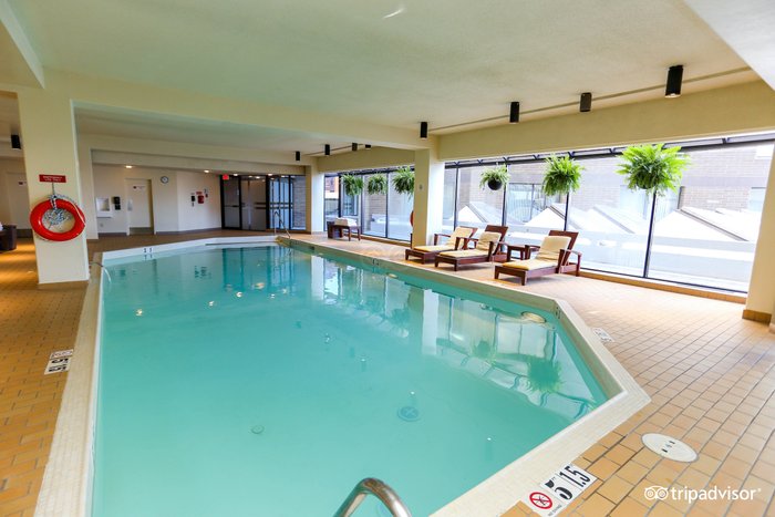 The Westin Edmonton Pool Pictures & Reviews - Tripadvisor