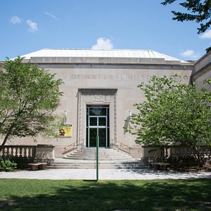 Jerseys - Picture of Basketball Hall of Fame, Springfield - Tripadvisor