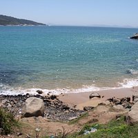 Pequeña praya llena de tortugas