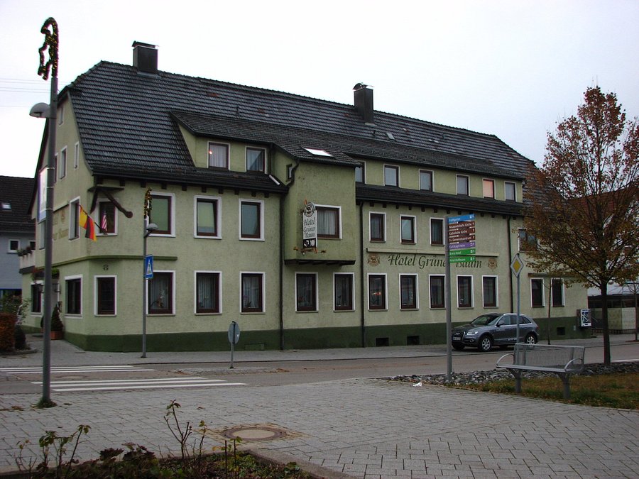 GRÜNER BAUM Bewertungen, Fotos & Preisvergleich