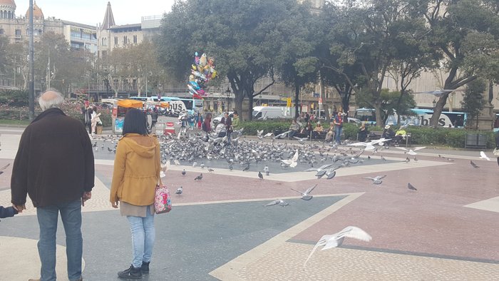 Imagen 2 de Plaza Catalunya