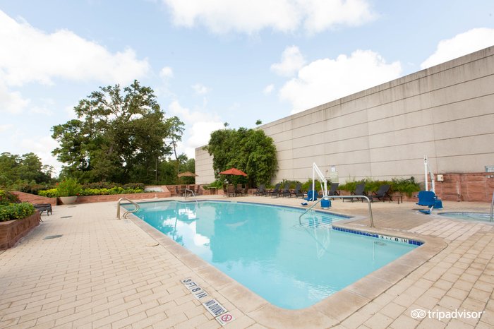 The Woodlands Waterway Marriott Hotel & Convention Center Pool Pictures ...