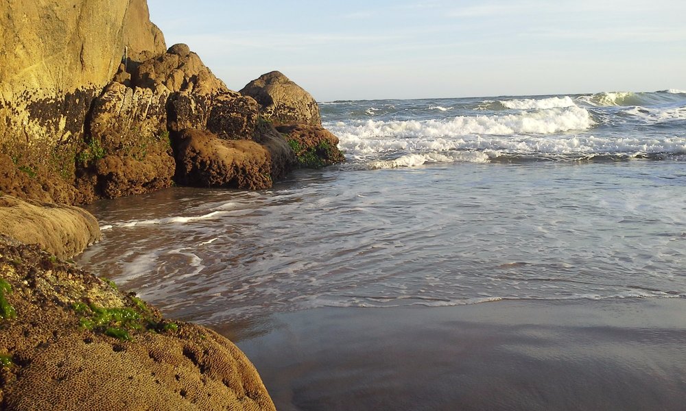 Canto Das Ondas Sao Francisco Do Sul Turismo E Viagem Para Sao Francisco Do Sul 2020 Ferias Em Sao Francisco Do Sul